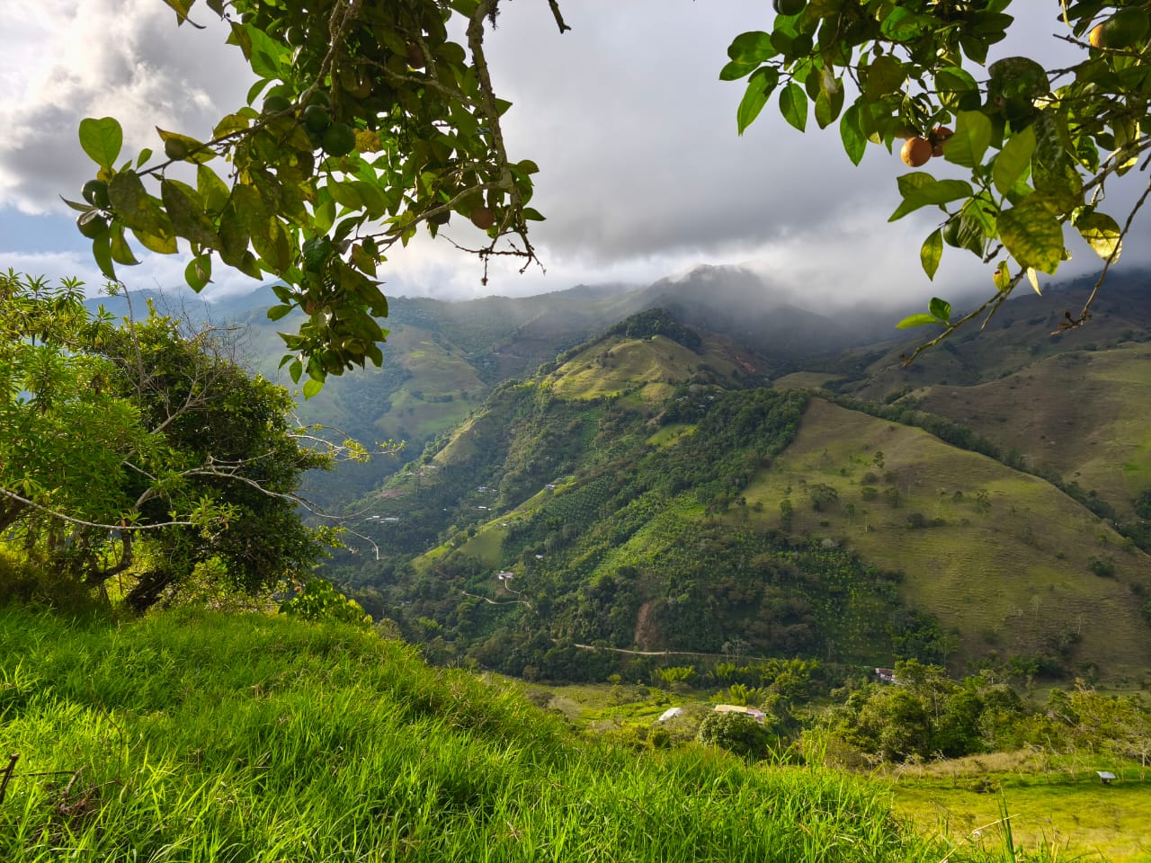 Exports M&R Historia